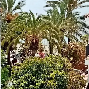  Apartament Old Town